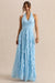 ECM_HR_CL136449013---Bea---Powder-Blue-Plunge-Neck-Ruffled-Maxi-Dress--5.jpg