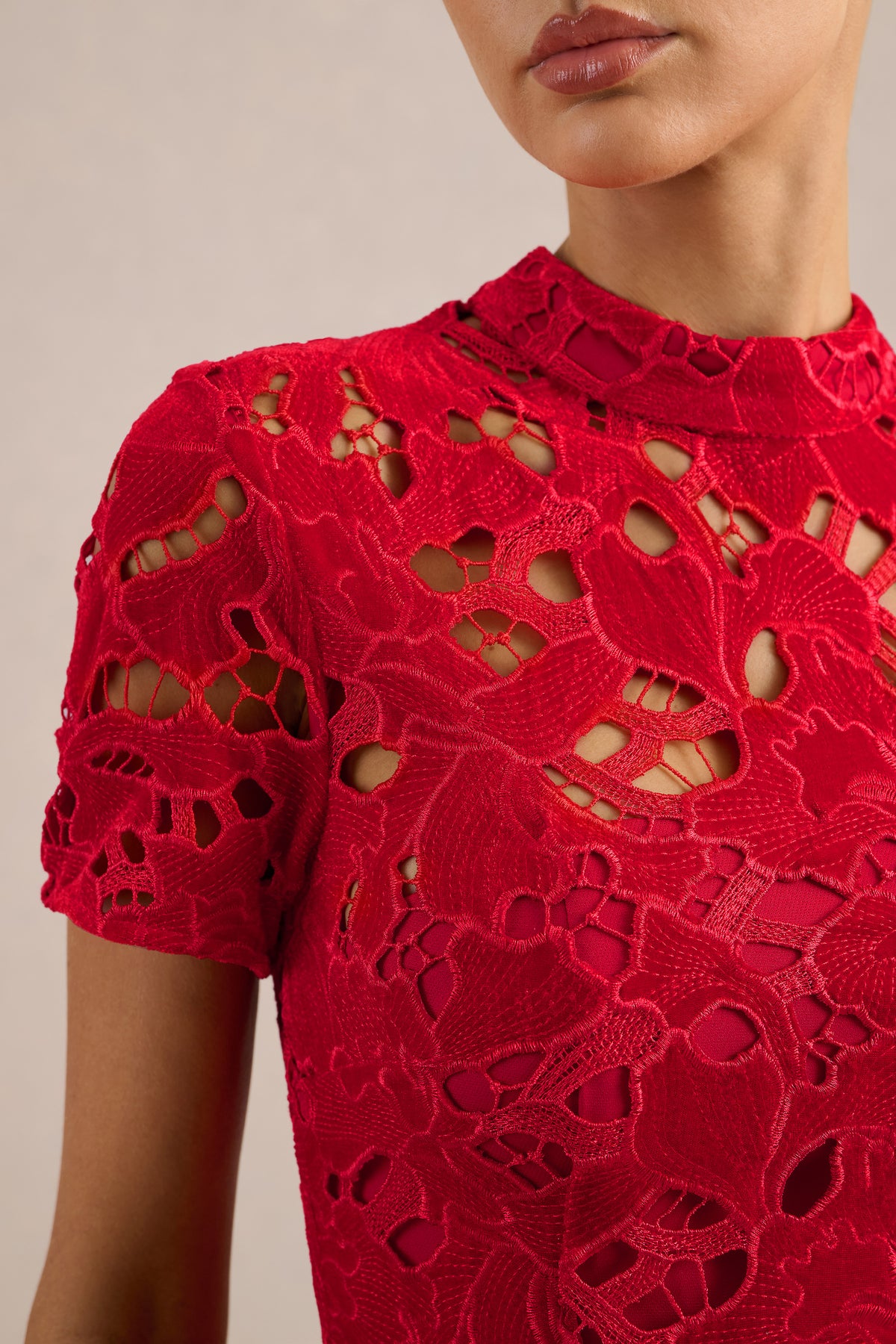 ECM_HR_CL136987004 - Roam _ Red Lace High-Neck Mini Dress4.jpg