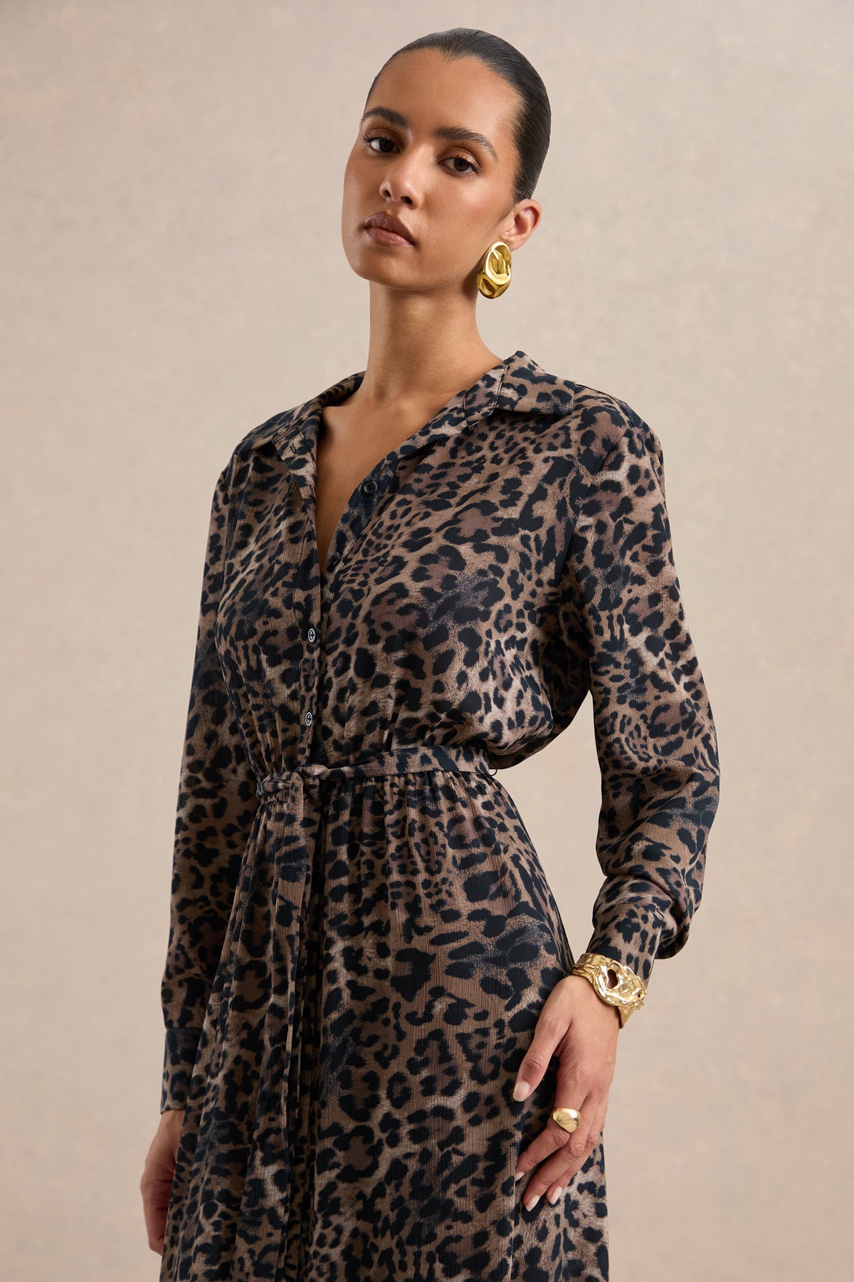 CL13909302106_ECM_HR_CL139093021_-_Tessalyn___Brown_Leopard_Print_Chiffon_V_Neck_Long_Sleeve_Maxi_Dress_With_Sheer_Detail11