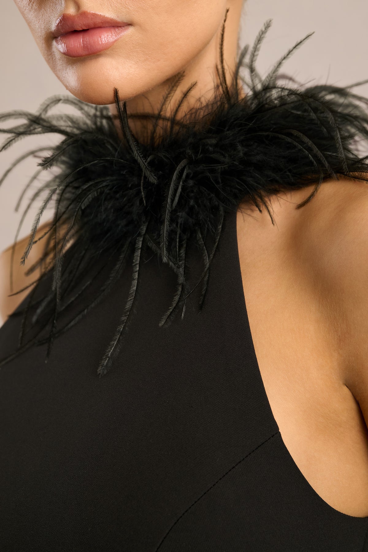 ECM_HR_CL139185001 - Vela _ Black High Neck Mini Dress With Feather Detailing4.jpg