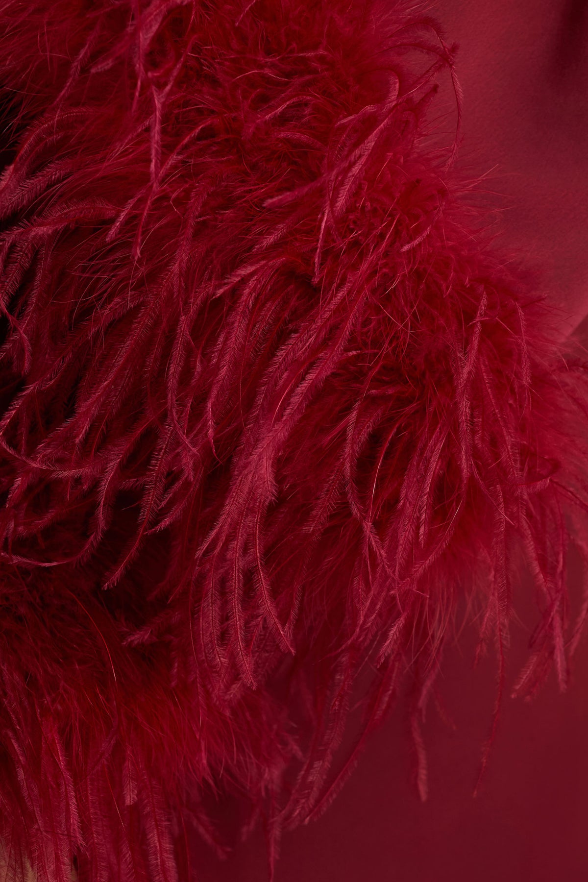 uploaded_image_4_m4rk2